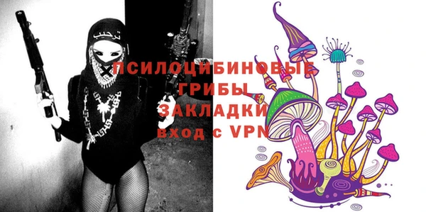 гашик Бугульма